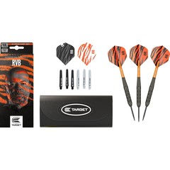 Target Raymond van Barneveld RVB Brass Set 22 Pieces