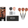 Target Target Raymond van Barneveld RVB Brass Set 22 Pieces Softdarts