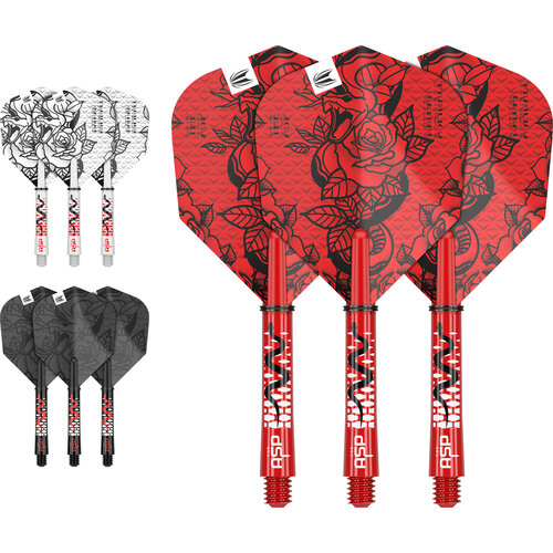 Target Target Nathan Aspinall Ink Flight Shaft Kit - Dart Flights