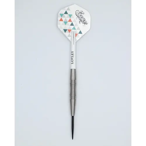 Loxley Loxley Aaron Beeney G2 90% - Steeldarts