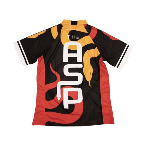 Target Target Nathan Aspinall Coolplay Collarless Premier League Germany 2024 Dartshirt