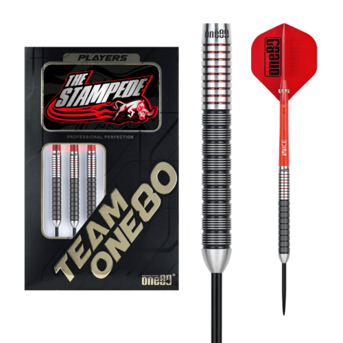 ONE80 ONE80 Akshay Mehta II 90% - Steeldarts