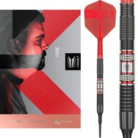 Target Gabriel Clemens 95K 95% Softdarts