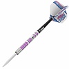 Bull's Germany BULL'S Challenger Michael Unterbuchner 90% - Steeldarts