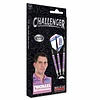 Bull's Germany BULL'S Challenger Michael Unterbuchner 90% - Steeldarts