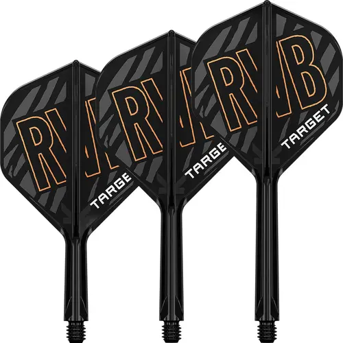 Target Target K-Flex Raymond van Barneveld NO2 - Dart Flights