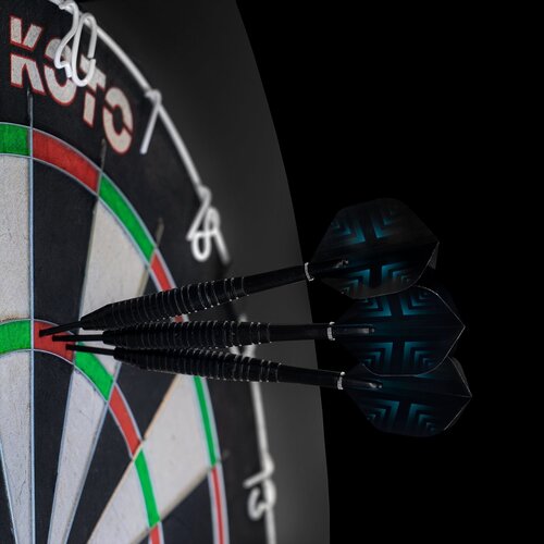 Target Target TOR  + 2 Sets KOTO Steeldarts + 90 Pieces