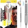 Target Target Gabriel Clemens 90% - Steeldarts