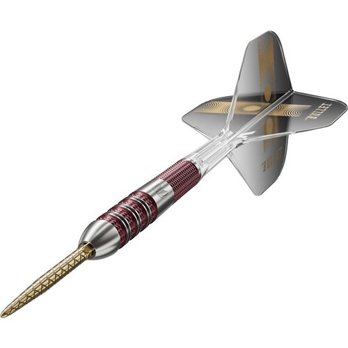Target Target Stephen Bunting 95K Swiss Point 95% - Steeldarts