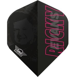 Bull's Ricky Evans 80 E2 NO2 - Dart Flights