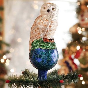 Tree Top Holy Owl