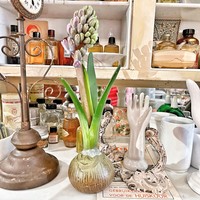 Hyacinth vaas  enkel