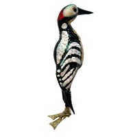 Vogelclip Grote Bonte Specht