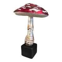 Botanisch Model Paddenstoel Glas Rood