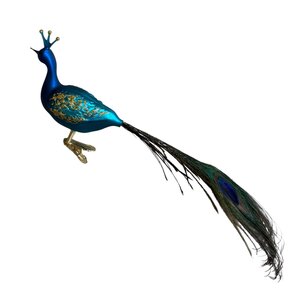 Vogelclip Trotse Pauw
