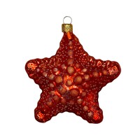 Kerstbal Zeester Oranje