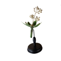 Botanisch model – Brendel Wonderboom (Ricinus communis)