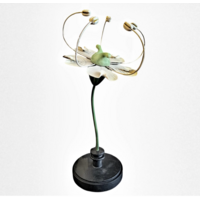 Botanical Model Brendel Blossom