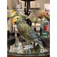 Ceramic Parrot Pot