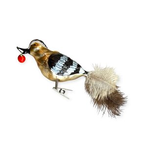Vogelclip Hop met Besje