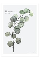 My Deer Art Shop Mini prints - eucalyptus - A5