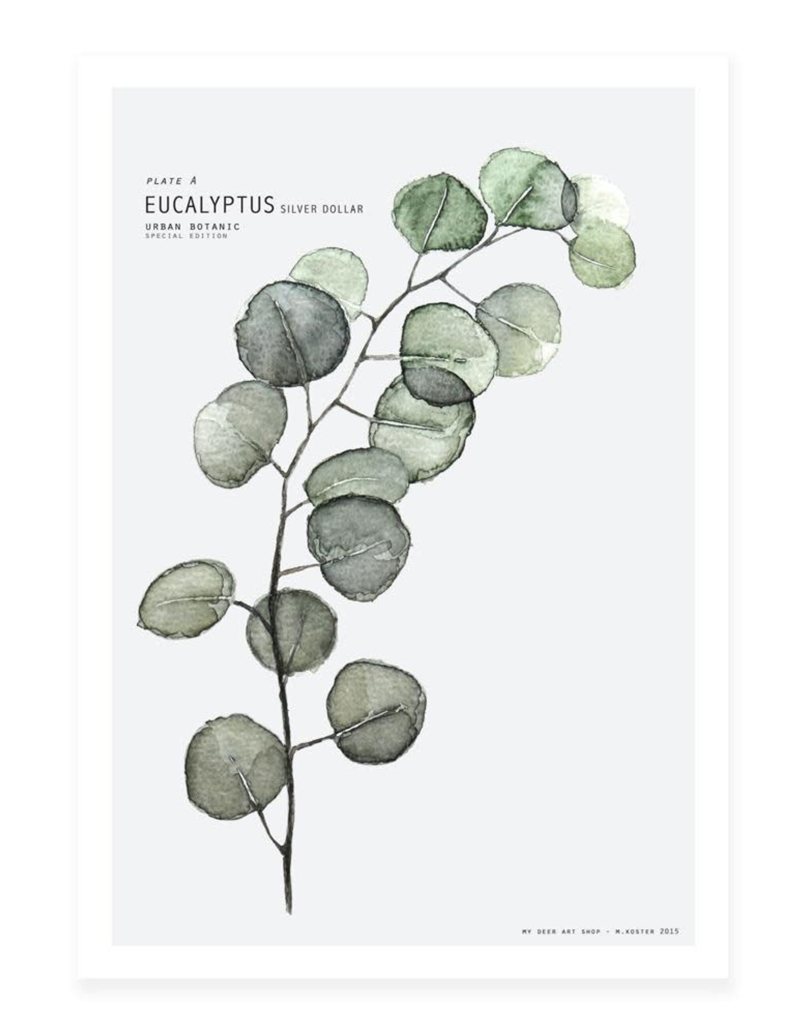 My Deer Art Shop Mini prints - eucalyptus - A5