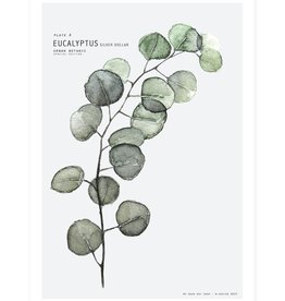 My Deer Art Shop Mini prints - eucalyptus - A5