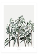 My Deer Art Shop Palms II - 40x50