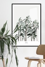 My Deer Art Shop Palms II - 40x50