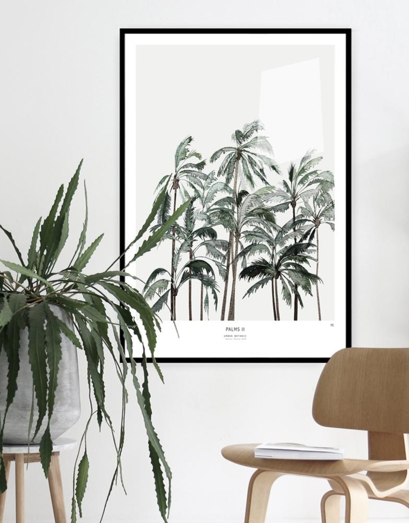 My Deer Art Shop Palms II - 40x50