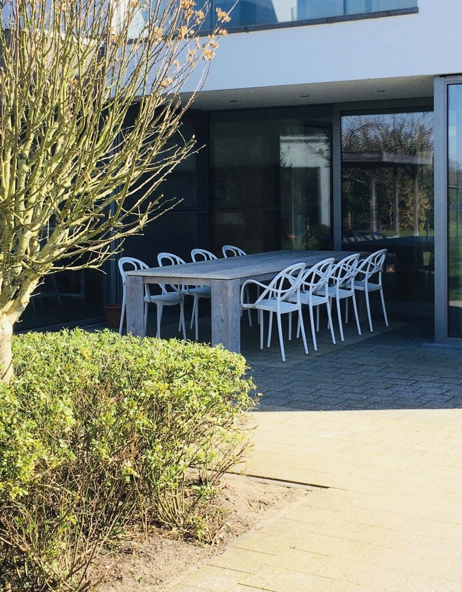 Nicola Tafel - Steigerhout