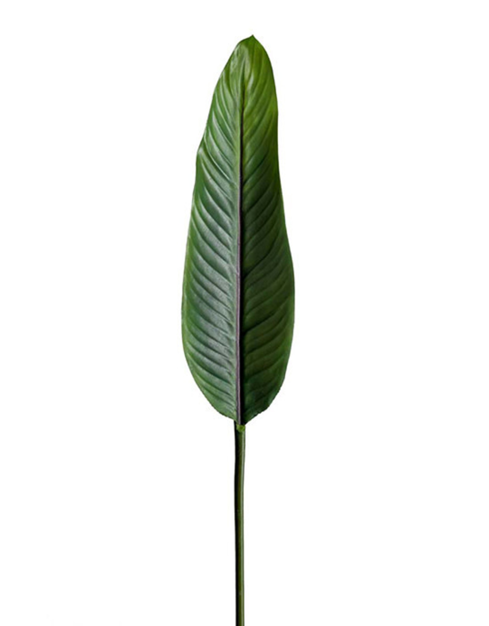 Kunstbloem - Strelitzia blad