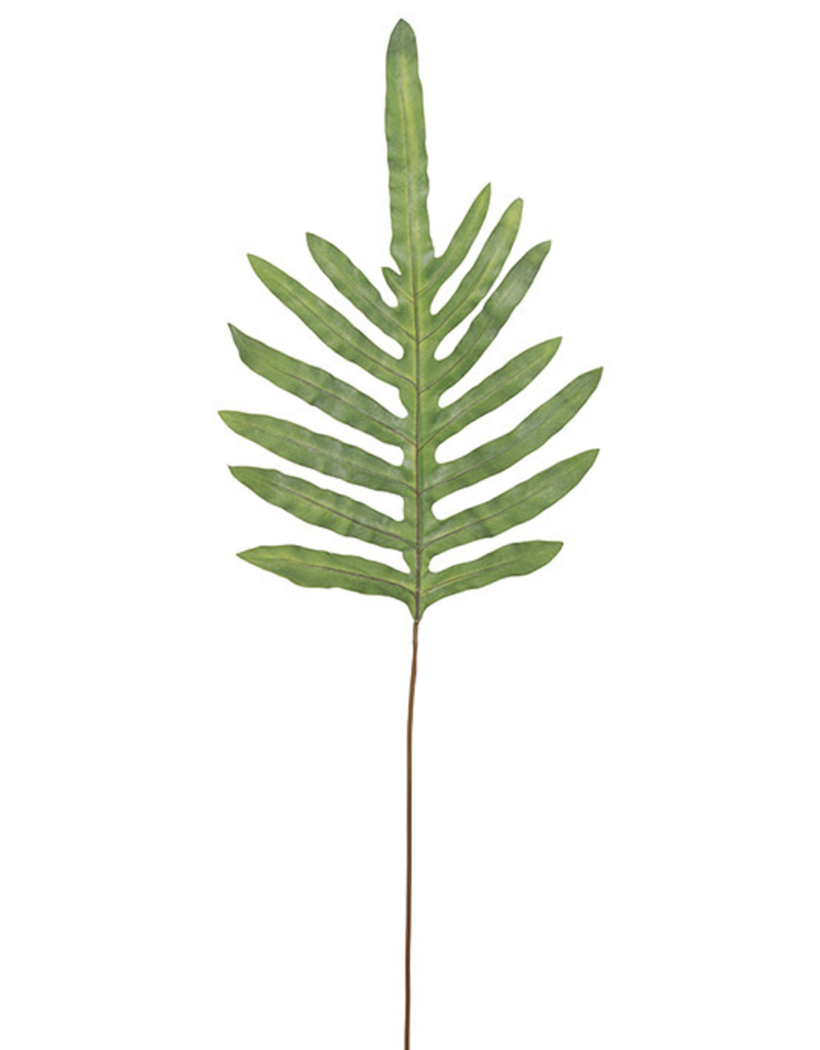 Kunstbloem - Ormbunksblad