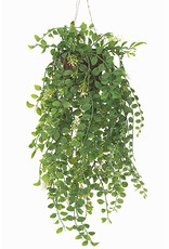 Mr Plant - Pilea hangplant