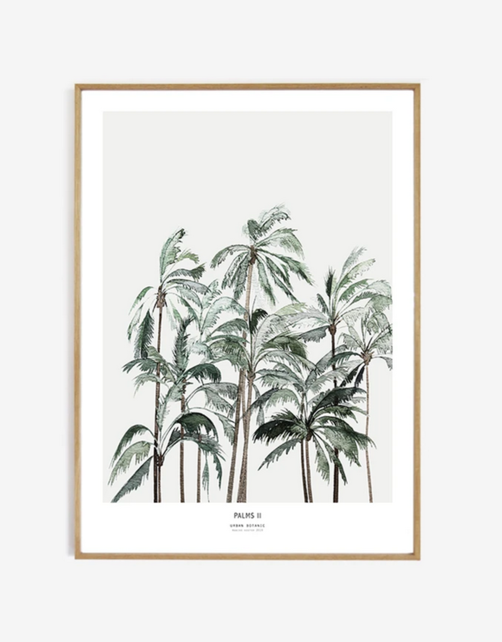 My Deer Art Shop Palms II - 30x40