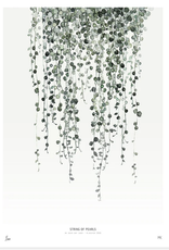 My Deer Art Shop String of pearls - 30x40