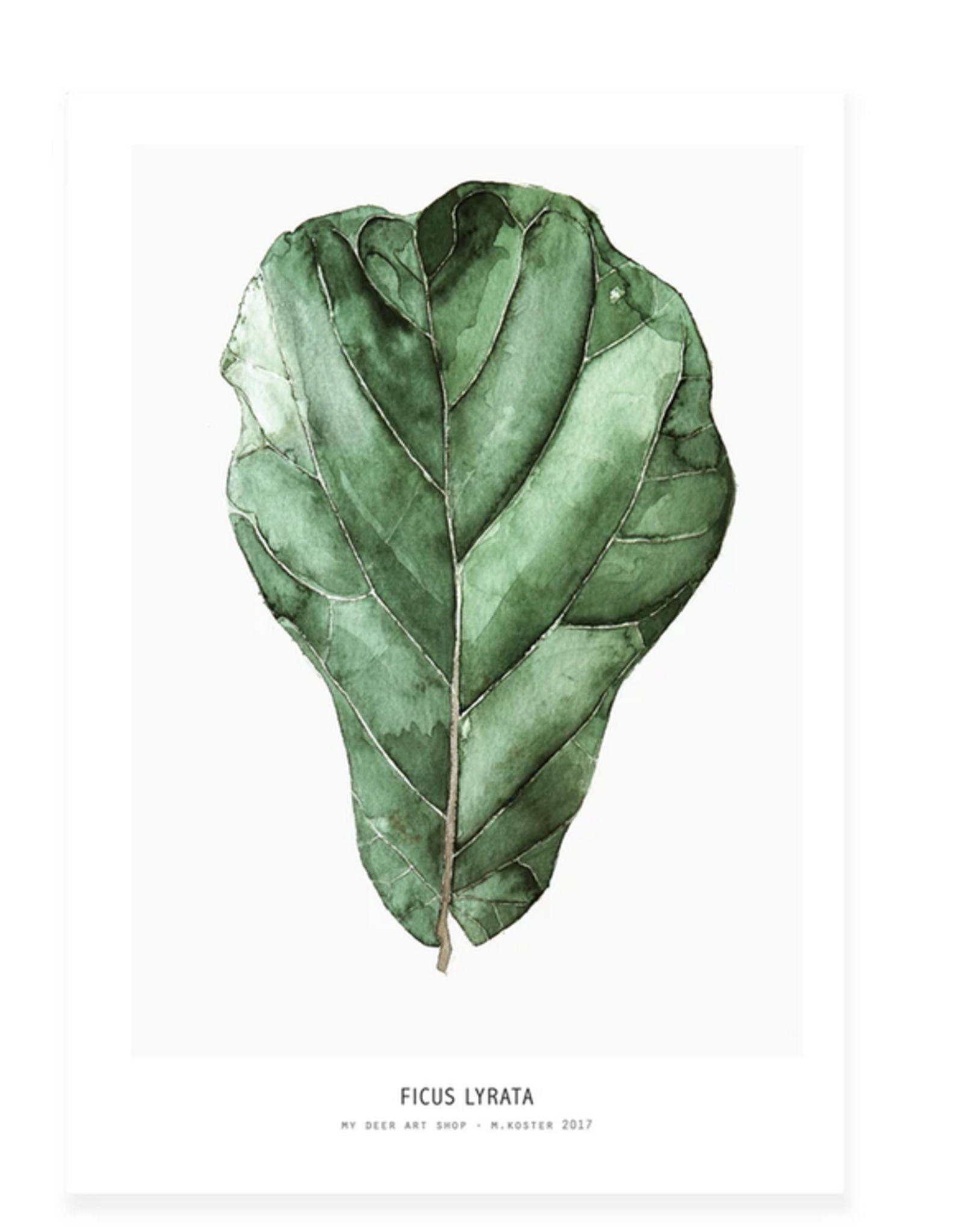 My Deer Art Shop Mini prints - Ficus - A5
