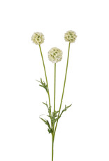 Kunstbloem - Scabiosa
