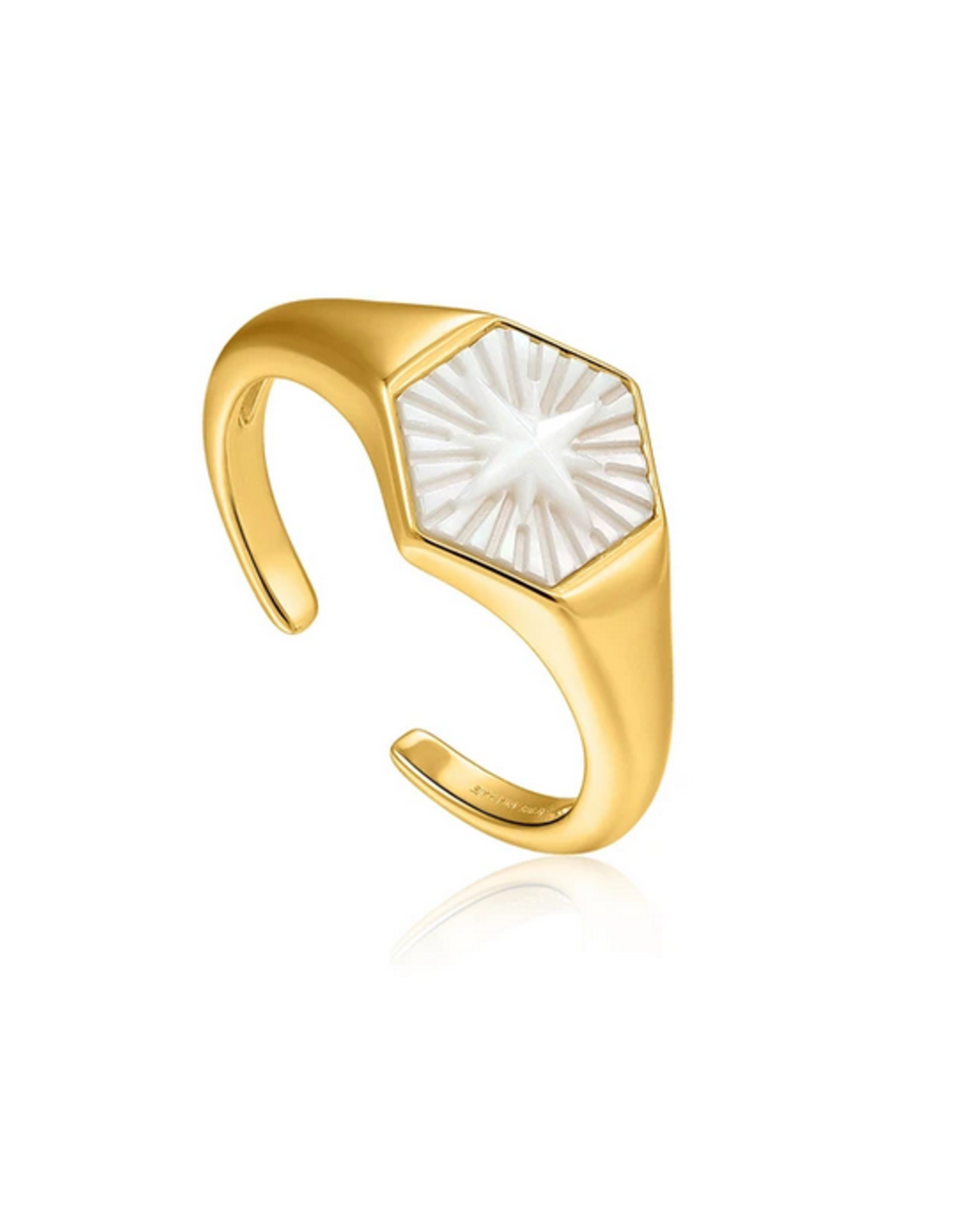 Ania Haie Ania Haie - Ring - Compass emblem - gold adjustable