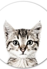 Groovy Magnets Magneetsticker poes
