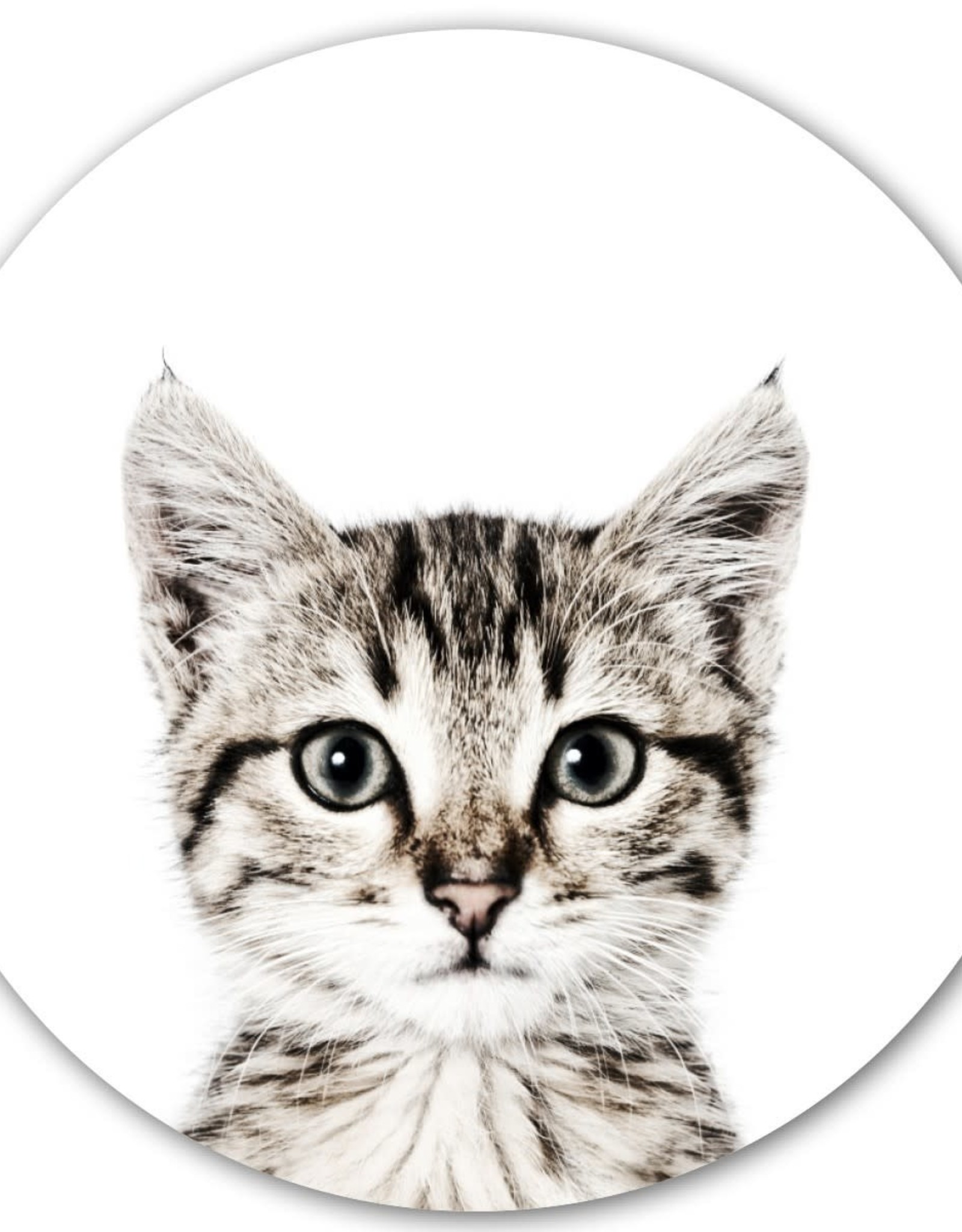 Groovy Magnets Magneetsticker poes