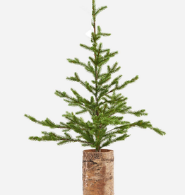 House Doctor Christmas tree - H 90cm - 86 bulbs