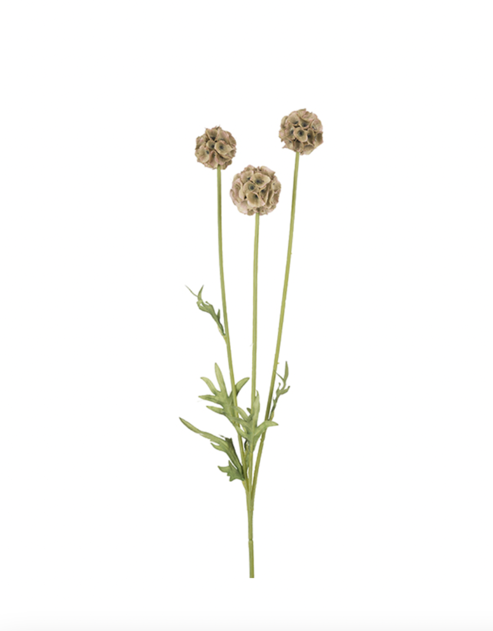 Kunstbloem - Sacabiosa