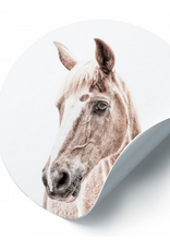 Groovy Magnets Magneetsticker paard