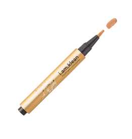 Flashlight concealer