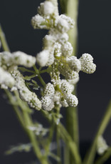 House Doctor Flower Gypsophila white