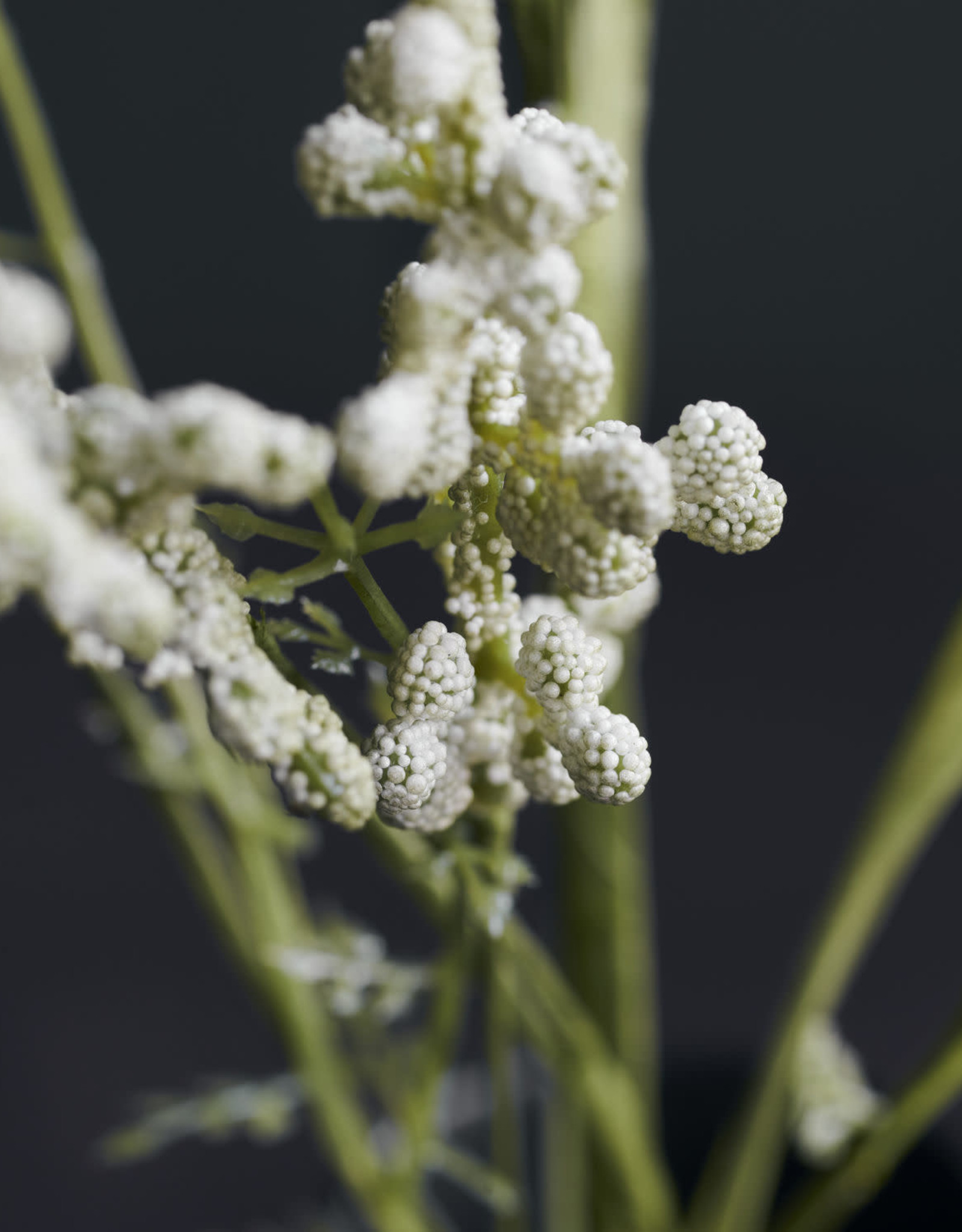 House Doctor Flower Gypsophila white