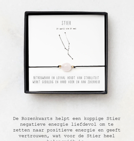 Sterrenbeeld armband stier