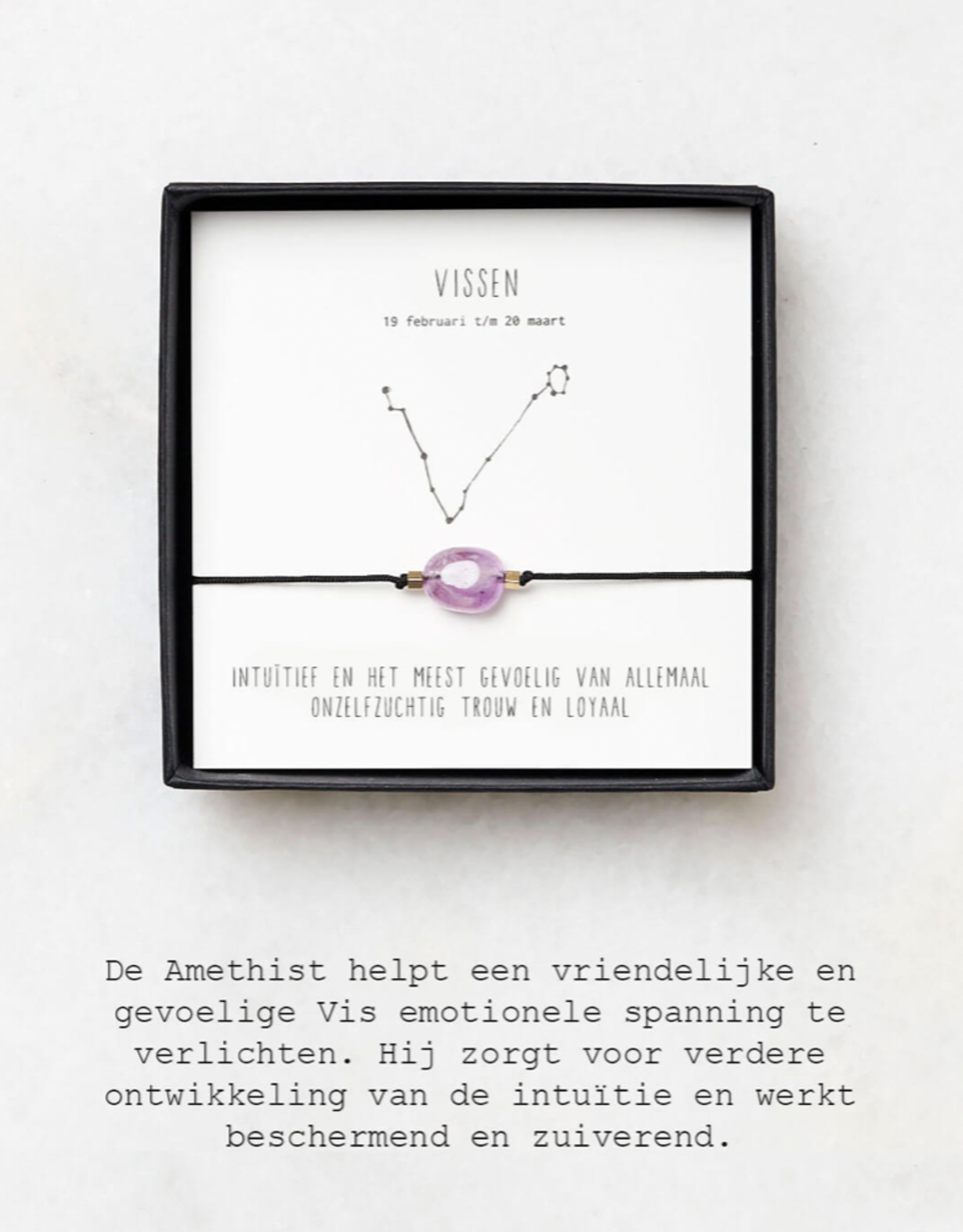 Sterrenbeeld armband vissen
