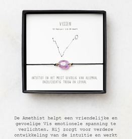 Sterrenbeeld armband vissen